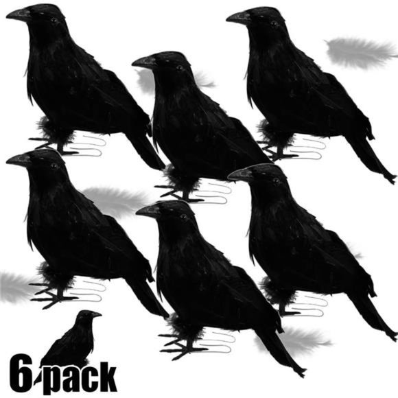 9.44" Halloween Black Feathered Crows, Halloween Decoration Birds, 6 Pack - Picture 1 of 6